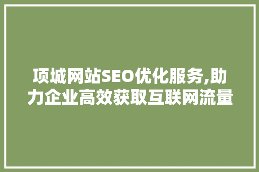 项城网站SEO优化服务,助力企业高效获取互联网流量