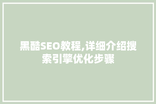 黑酷SEO教程,详细介绍搜索引擎优化步骤