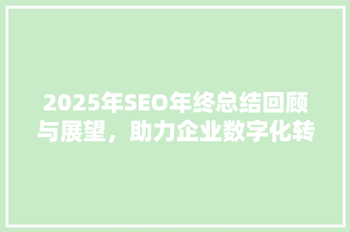 2025年SEO年终总结回顾与展望，助力企业数字化转型