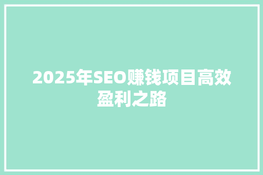 2025年SEO赚钱项目高效盈利之路