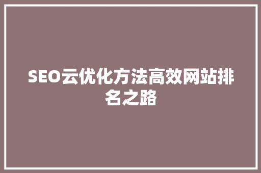 SEO云优化方法高效网站排名之路