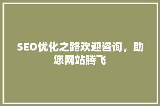 SEO优化之路欢迎咨询，助您网站腾飞