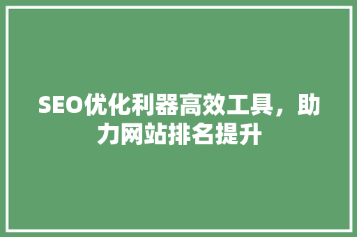 SEO优化利器高效工具，助力网站排名提升