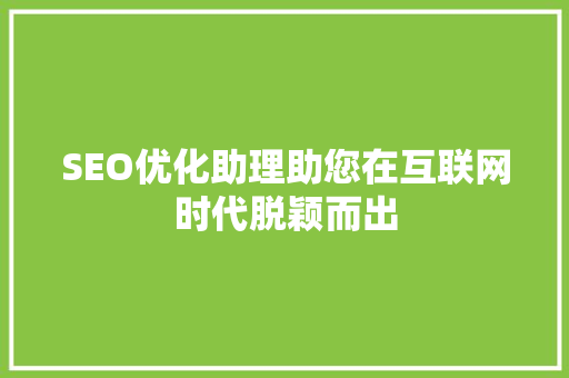 SEO优化助理助您在互联网时代脱颖而出