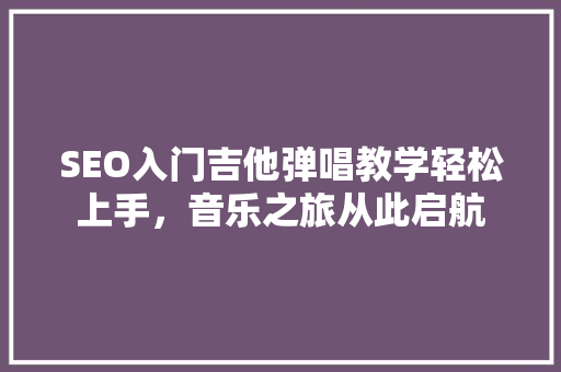 SEO入门吉他弹唱教学轻松上手，音乐之旅从此启航 网站开发
