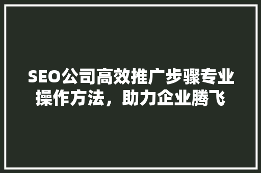 SEO公司高效推广步骤专业操作方法，助力企业腾飞