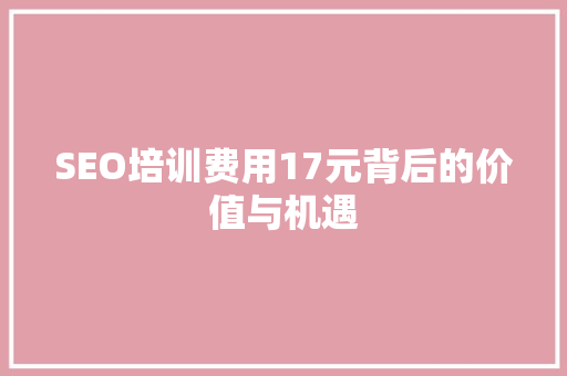 SEO培训费用17元背后的价值与机遇