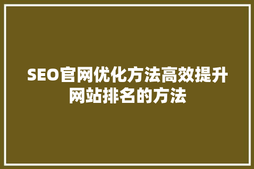 SEO官网优化方法高效提升网站排名的方法 网站开发