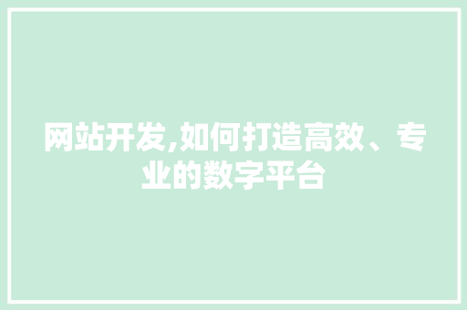 网站开发,如何打造高效、专业的数字平台
