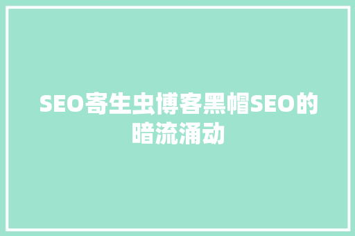 SEO寄生虫博客黑帽SEO的暗流涌动