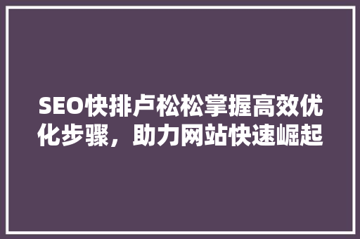 SEO快排卢松松掌握高效优化步骤，助力网站快速崛起 百度算法