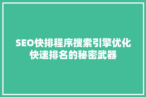SEO快排程序搜索引擎优化快速排名的秘密武器