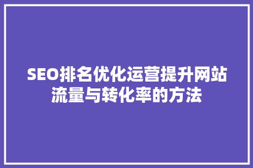 SEO排名优化运营提升网站流量与转化率的方法 英文谷歌算法