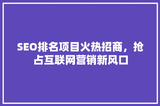 SEO排名项目火热招商，抢占互联网营销新风口