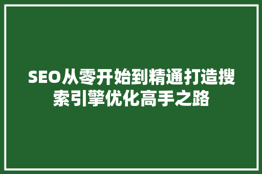 SEO从零开始到精通打造搜索引擎优化高手之路 seo技术