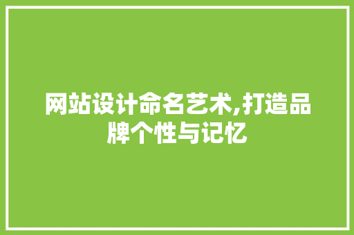 网站设计命名艺术,打造品牌个性与记忆