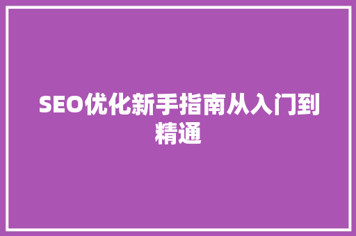 SEO优化新手指南从入门到精通