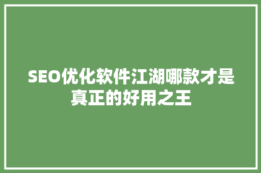 SEO优化软件江湖哪款才是真正的好用之王 网站开发