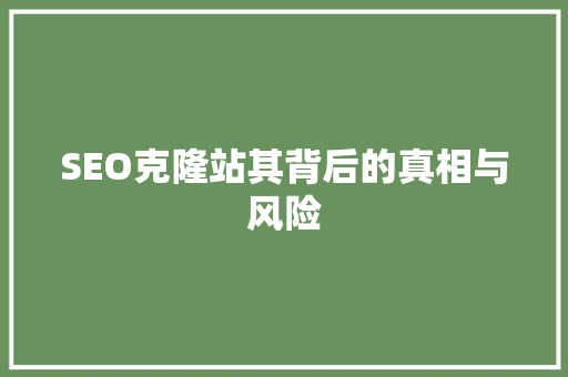 SEO克隆站其背后的真相与风险 百度算法