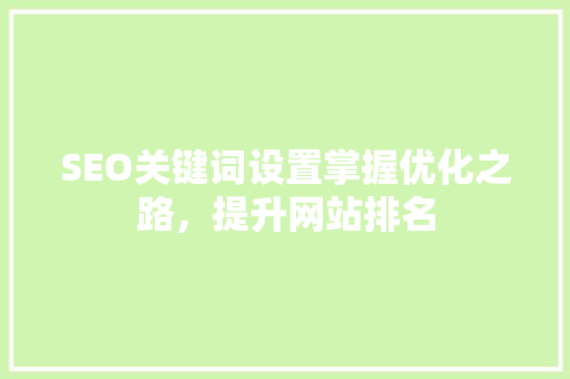SEO关键词设置掌握优化之路，提升网站排名 网站优化
