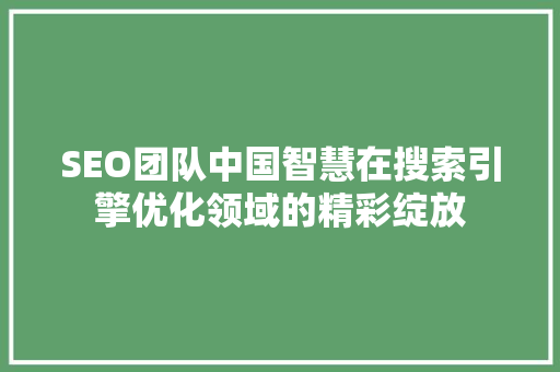 SEO团队中国智慧在搜索引擎优化领域的精彩绽放