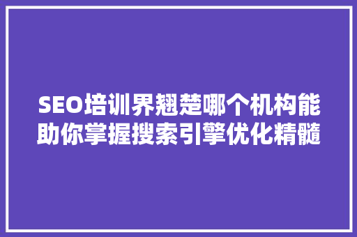 SEO培训界翘楚哪个机构能助你掌握搜索引擎优化精髓