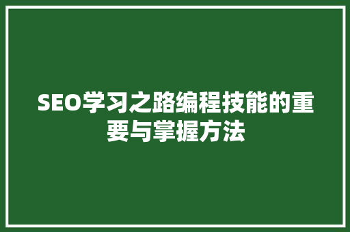 SEO学习之路编程技能的重要与掌握方法