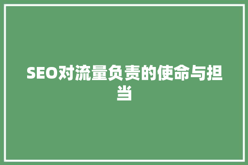 SEO对流量负责的使命与担当