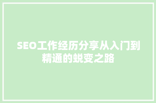 SEO工作经历分享从入门到精通的蜕变之路