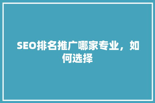 SEO排名推广哪家专业，如何选择 seo技术
