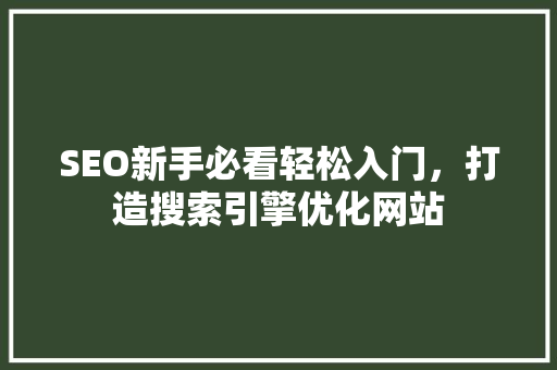 SEO新手必看轻松入门，打造搜索引擎优化网站 网站开发
