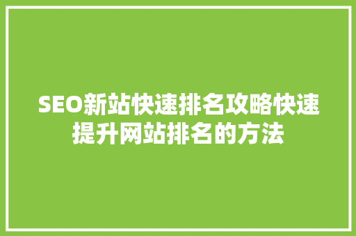 SEO新站快速排名攻略快速提升网站排名的方法 网站开发