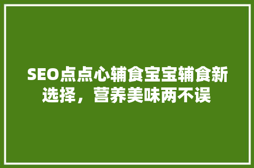 SEO点点心辅食宝宝辅食新选择，营养美味两不误 AI技术学习
