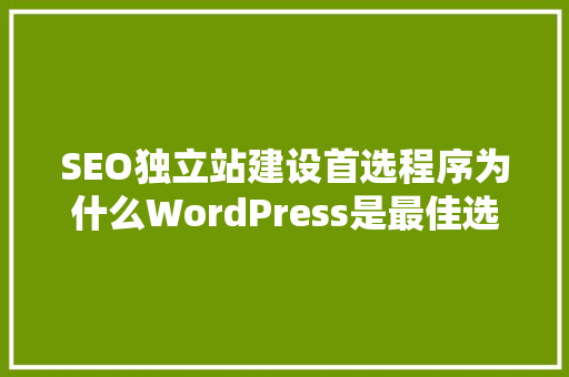 SEO独立站建设首选程序为什么WordPress是最佳选择