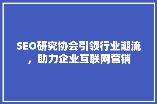 SEO研究协会引领行业潮流，助力企业互联网营销