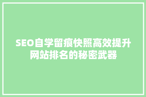 SEO自学留痕快照高效提升网站排名的秘密武器