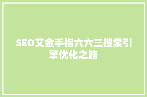SEO艾金手指六六三搜索引擎优化之路