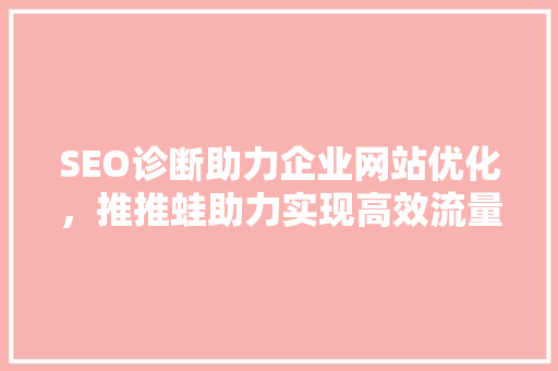 SEO诊断助力企业网站优化，推推蛙助力实现高效流量转化