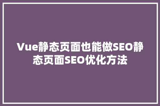 Vue静态页面也能做SEO静态页面SEO优化方法