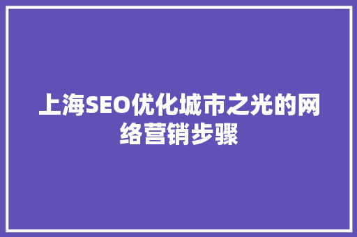 上海SEO优化城市之光的网络营销步骤