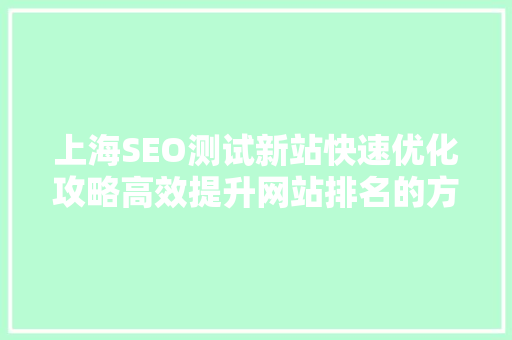 上海SEO测试新站快速优化攻略高效提升网站排名的方法 AI技术学习