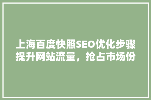 上海百度快照SEO优化步骤提升网站流量，抢占市场份额