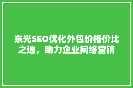 东光SEO优化外包价格价比之选，助力企业网络营销