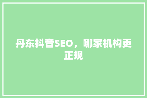 丹东抖音SEO，哪家机构更正规