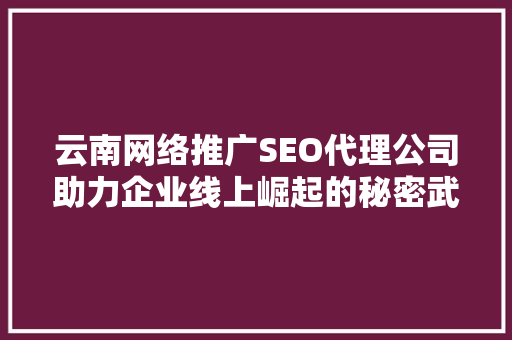 云南网络推广SEO代理公司助力企业线上崛起的秘密武器