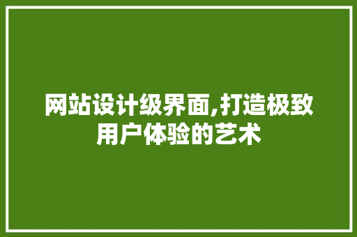 网站设计级界面,打造极致用户体验的艺术