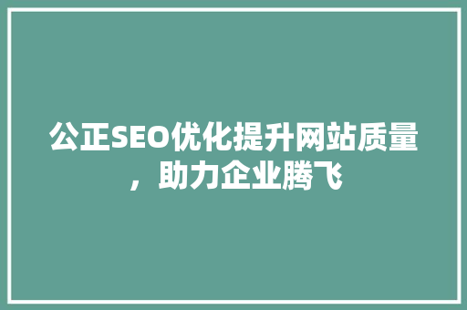 公正SEO优化提升网站质量，助力企业腾飞 360搜优化