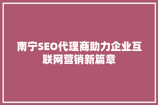 南宁SEO代理商助力企业互联网营销新篇章