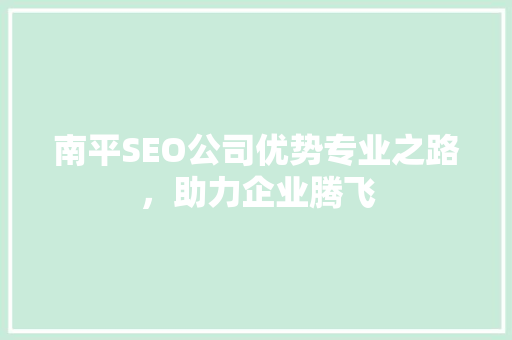 南平SEO公司优势专业之路，助力企业腾飞