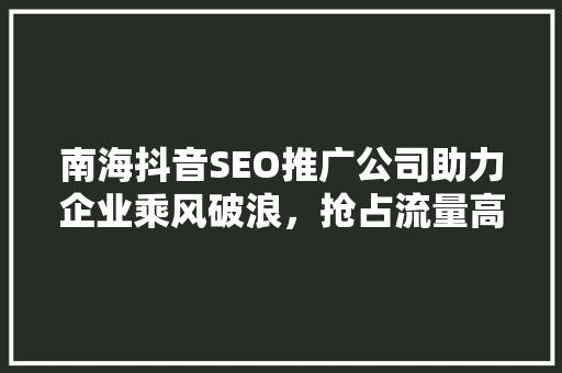 南海抖音SEO推广公司助力企业乘风破浪，抢占流量高地